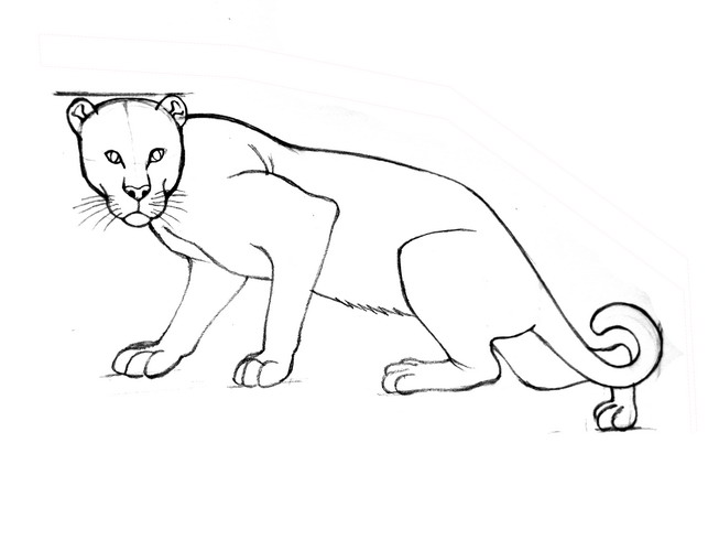 653x490 How To Draw Leopards Steps - Leopard Drawing