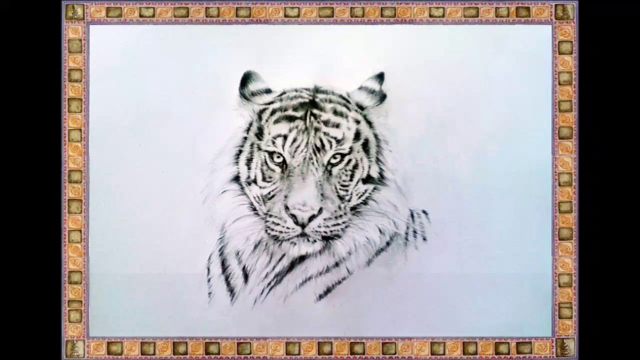 1280x720 How To Draw A Leopard Face Lovely Tigers Face Drawing - Leopard Face Drawing