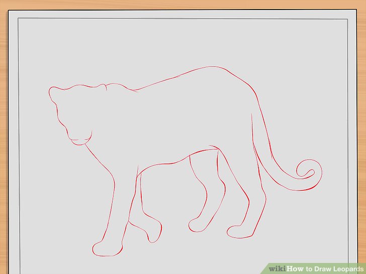 728x546 How To Draw Leopards Steps - Leopard Face Drawing