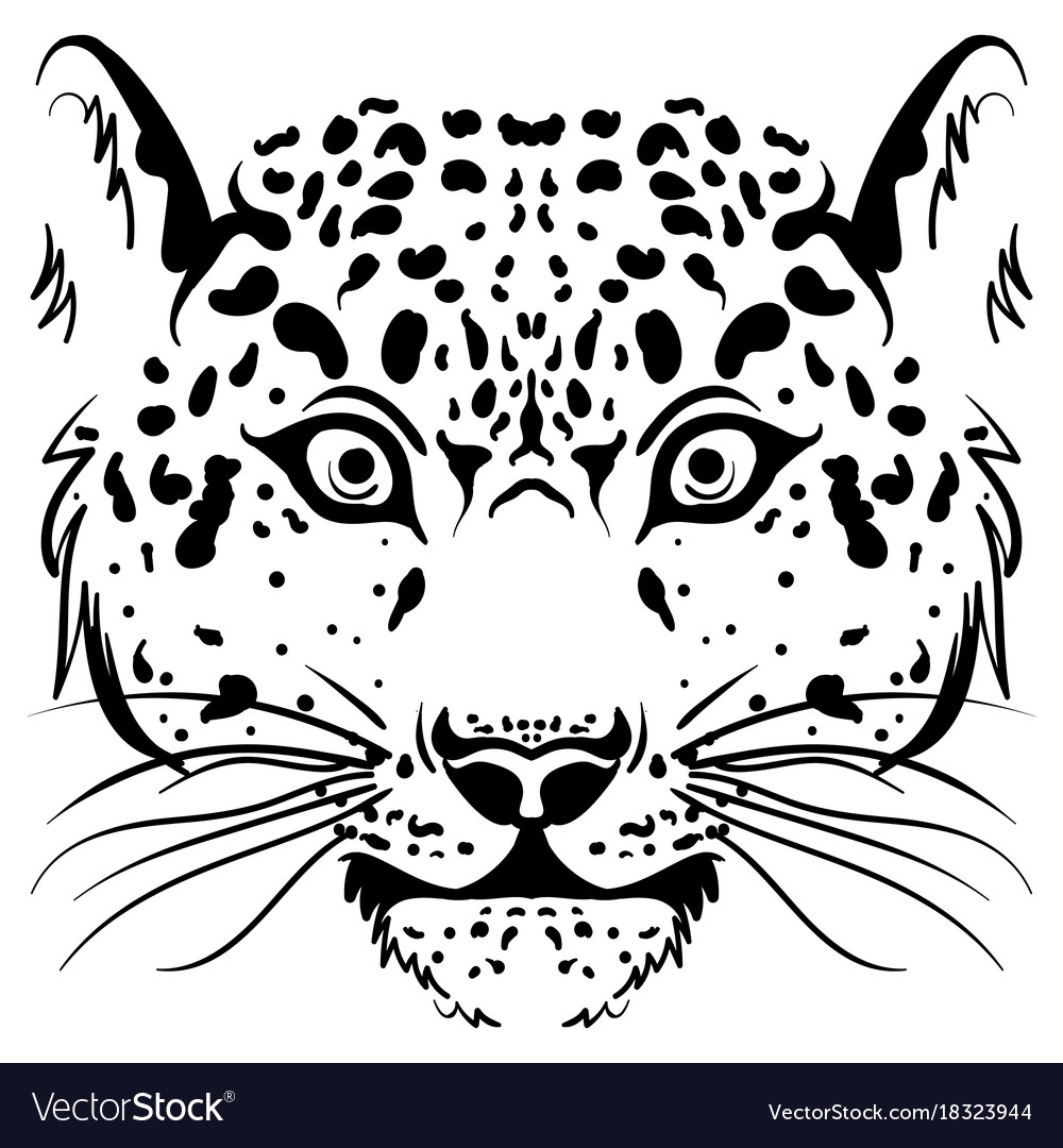 1000x1080 Jaguar Face Sketch - Leopard Face Drawing