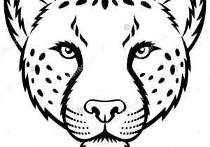 300x210 Leopard Drawing Step - Leopard Face Drawing