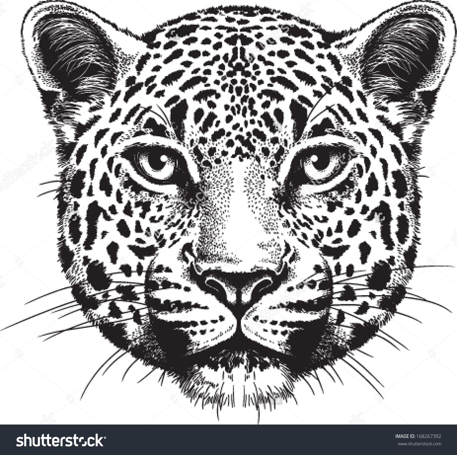 1500x1493 Related Image Ink Jaguar Tattoo, Leopard Face, Leopard Tattoos - Leopard Face Drawing