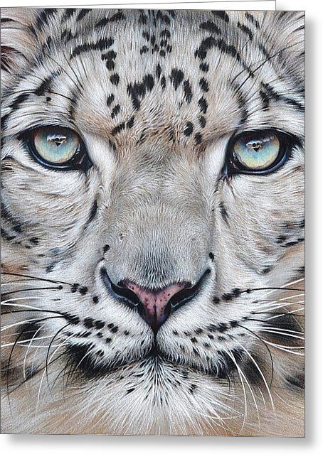 454x646 Faces Of The Wild - Leopard Face Drawing