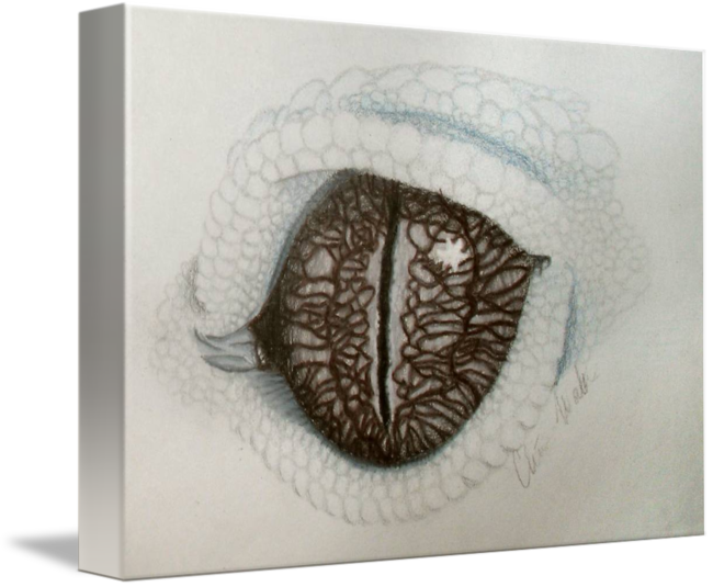 650x535 Leopard Gecko Eye - Leopard Gecko Drawing