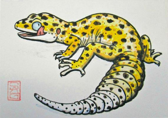 570x402 Aceo Leopard Gecko Archival Print Watercolor Lizard Art Etsy - Leopard Gecko Drawing