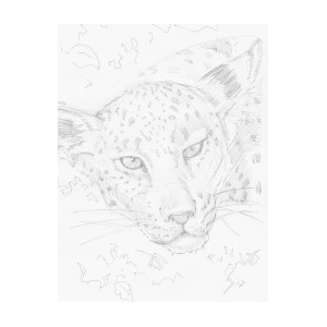 300x300 Leopard Head Drawing Drawing - Leopard Head Drawing
