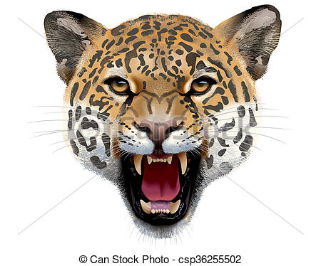 450x374 Leopard Head Illustration - Leopard Head Drawing