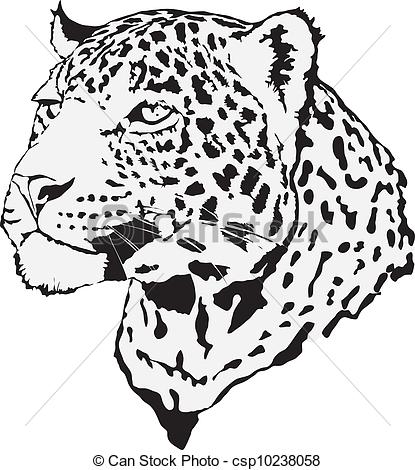 415x470 Stock Illustration - Leopard Head Drawing