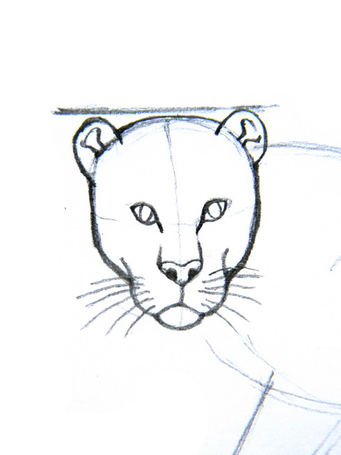 490x653 How To Draw Leopards Steps - Leopard Head Drawing