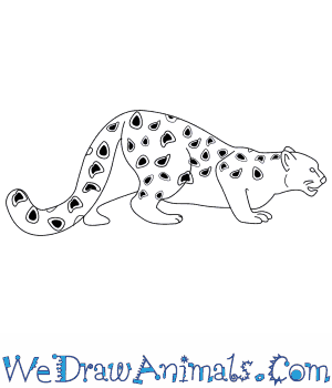 300x350 How To Draw A Snow Leopard - Leopard Line Drawing
