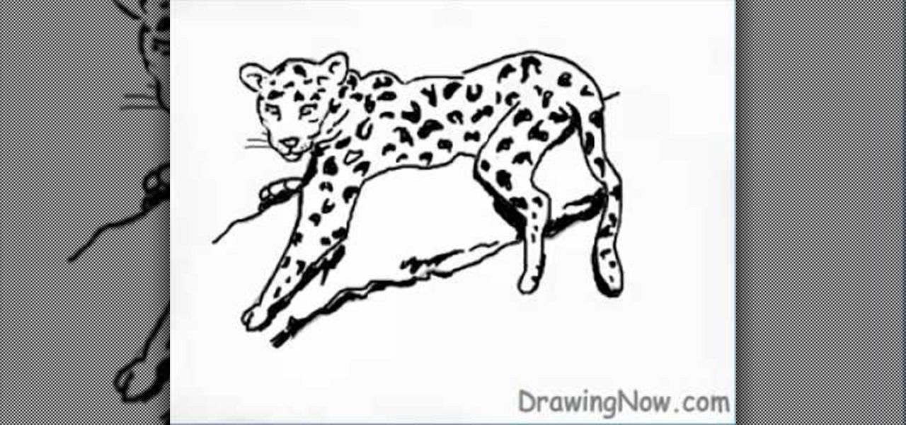 1280x600 How To Draw A Leopard Drawing Illustration Wonderhowto - Leopard Line Drawing