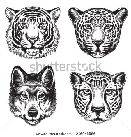 450x470 Black And White Vector Line Drawings Of Wild Animal Faces Cheetah - Leopard Line Drawing