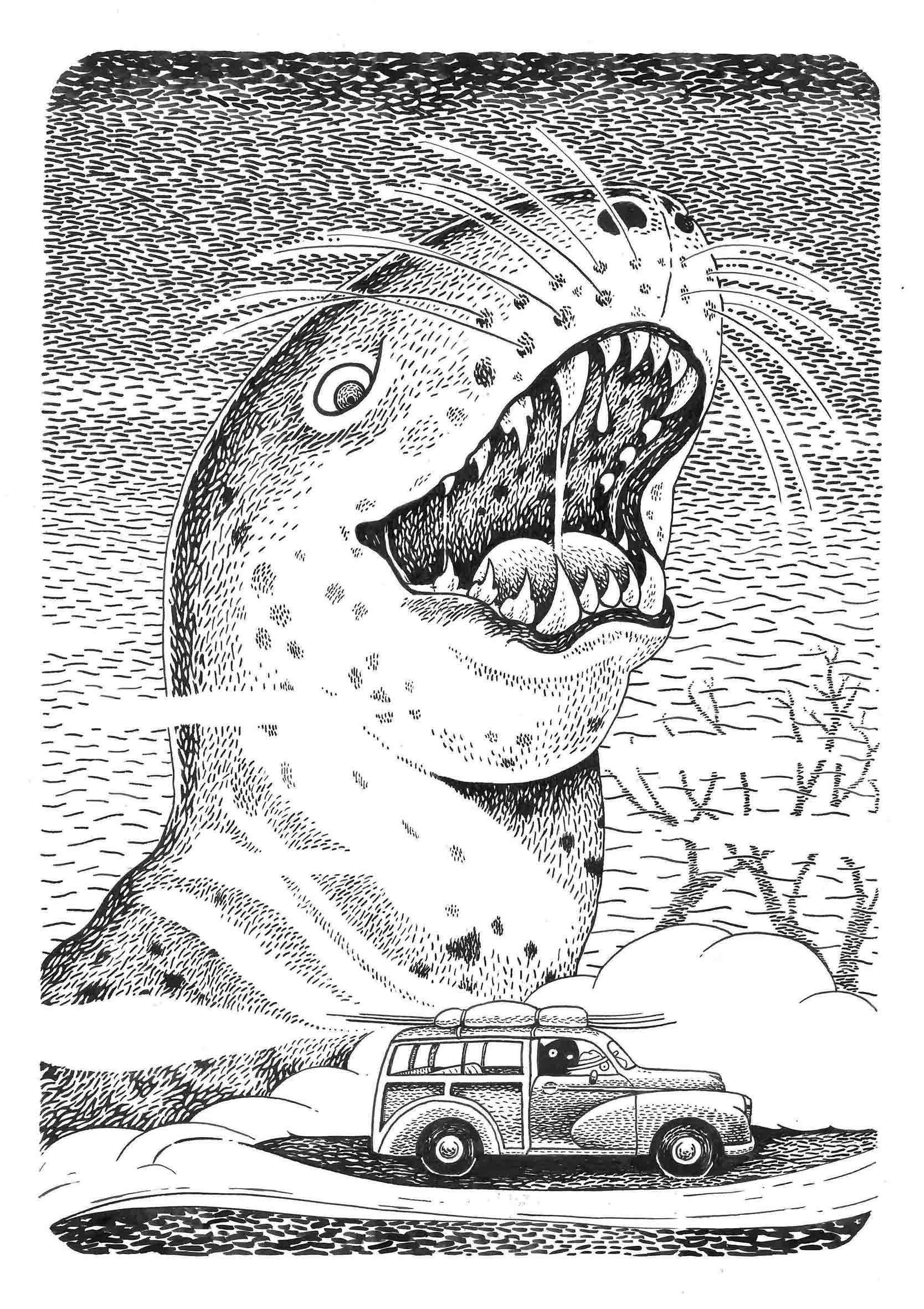 1668x2362 Leopard Seal Lucy Everitt Illustration - Leopard Seal Drawing