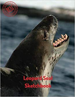 260x336 Leopard Seal Sketchbook Blank Paper For Drawing, Doodling - Leopard Seal Drawing