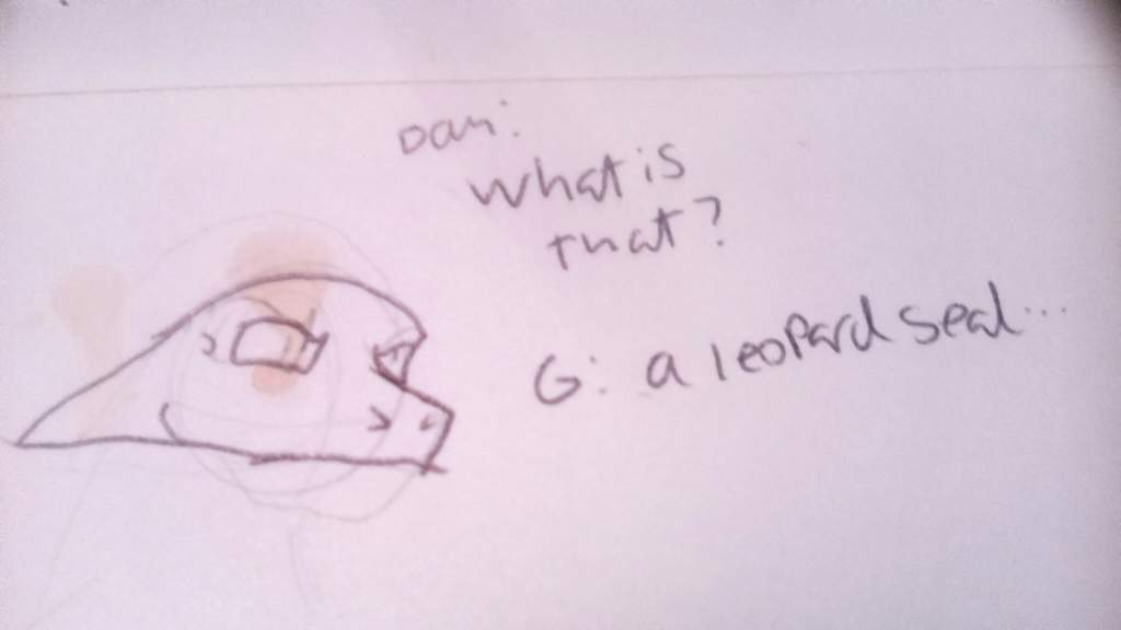 1024x576 Leopard Seal Encounter - Leopard Seal Drawing