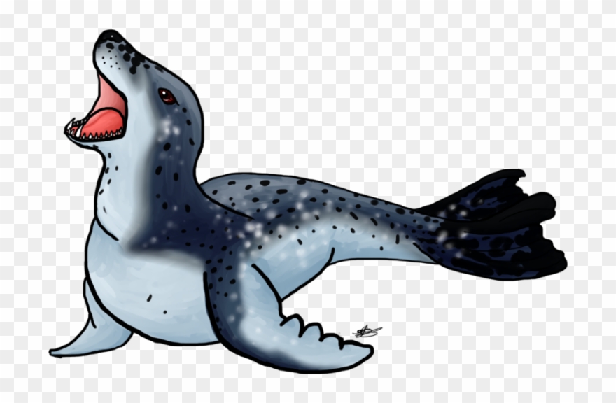 880x576 Seal Clipart Leopard Seal - Leopard Seal Drawing