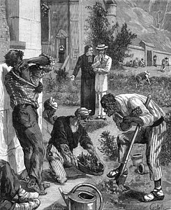 245x300 Leprosy Drawings Fine Art America - Leprosy Drawing