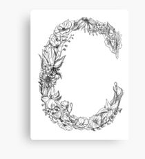 210x230 Letter C Drawing Wall Art Redbubble - Letter C Drawing