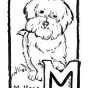 180x180 Dog Drawing Maltese And The Letter M Painting - Letter M Drawing