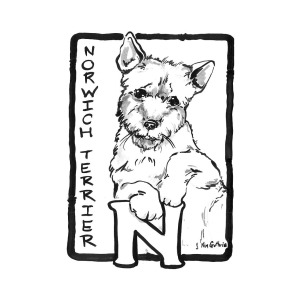 300x300 Dog Drawing Norwich Terrier And Black And White Letter N Painting - Letter N Drawing