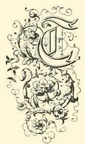 167x283 vintage letter t drawing - Letter T Drawing