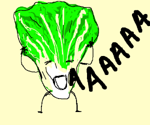 300x250 screaming lettuce drawing - Lettuce Drawing
