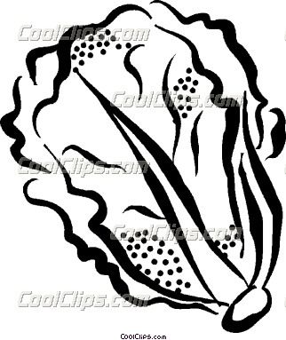 322x383 lettuce line drawings - Lettuce Drawing