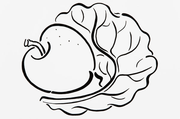 600x399 prints of simple black and white line drawing of apple and lettuce - Lettuce Leaf Drawing