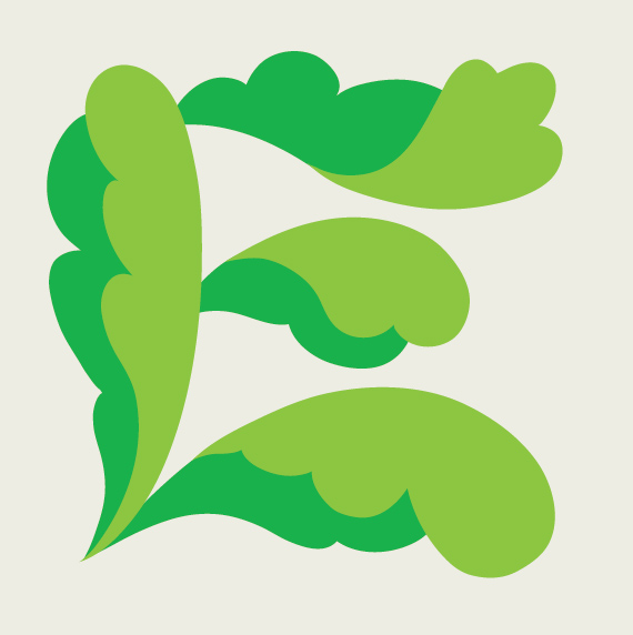 570x572 richard hogg lettuce 'e' - Lettuce Leaf Drawing