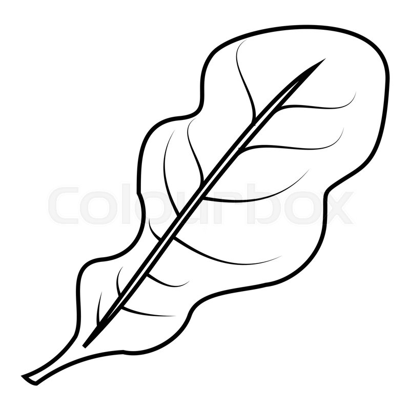 800x800 salad leaves icon outline stock vector colourbox - Lettuce Leaf Drawing