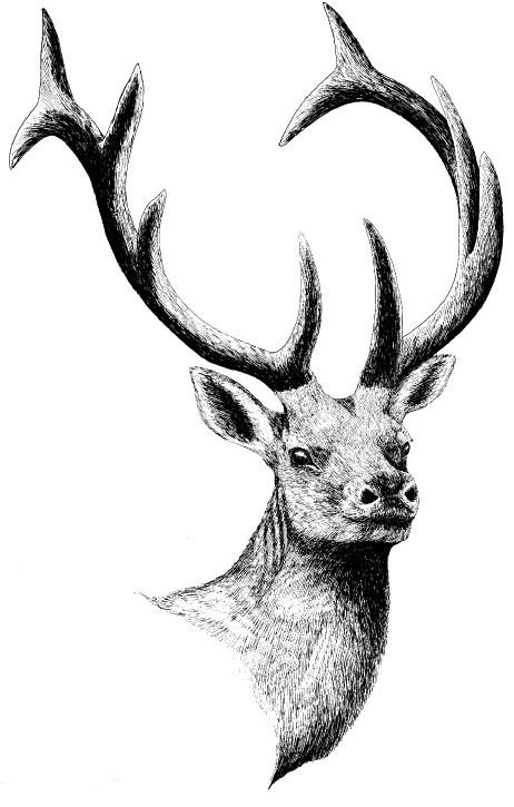 462x725 Lewis And Clark On The Great Plains A Natural History Journals - Lewis And Clark Drawings