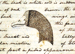 264x189 The Journals Of Lewis And Clark - Lewis And Clark Drawings