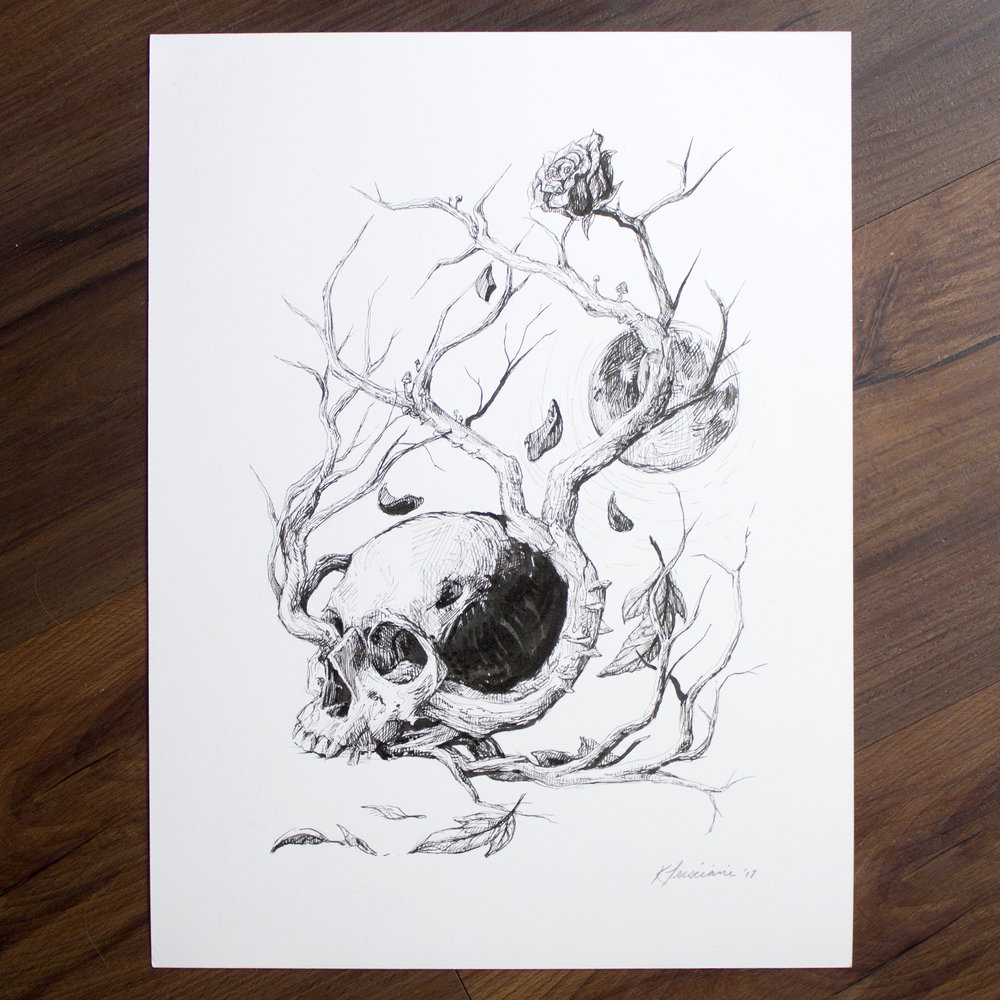 1000x1000 Life Cycle - Life Cycle Drawing