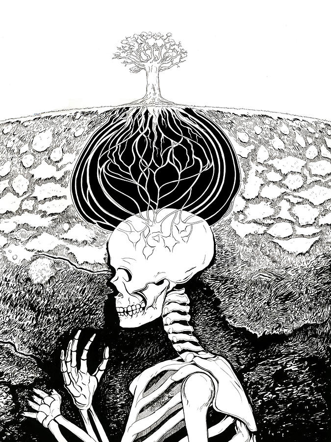 675x900 Life Cycle Drawing - Life Cycle Drawing