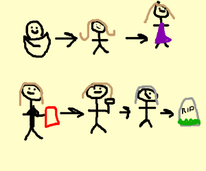 300x250 Human Life Cycle Drawing - Life Cycle Drawing