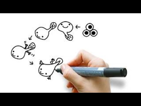 480x360 How To Draw Frog Life Cycle Drawing For Kids - Life Cycle Of A Frog Drawing