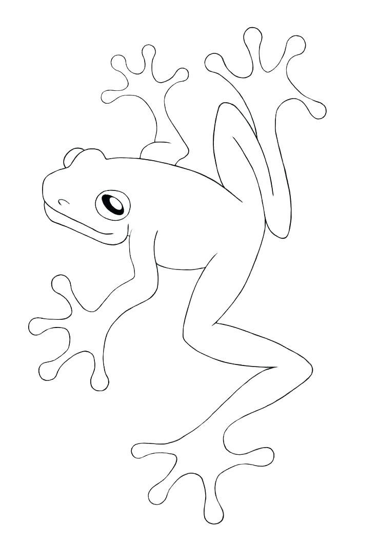 737x1050 Life Cycle Of A Frog Drawing At Free For Personal Coloring - Life Cycle Of A Frog Drawing