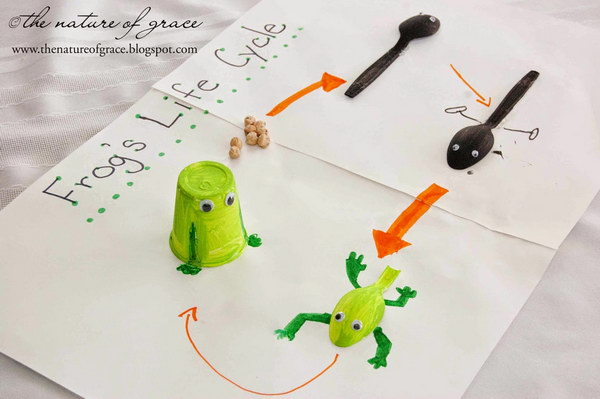 600x399 Life Cycle Projects For Kids - Life Cycle Of A Frog Drawing