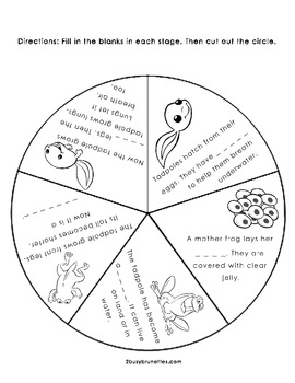270x350 Life Cycle Of A Frog Wheel - Life Cycle Of A Frog Drawing