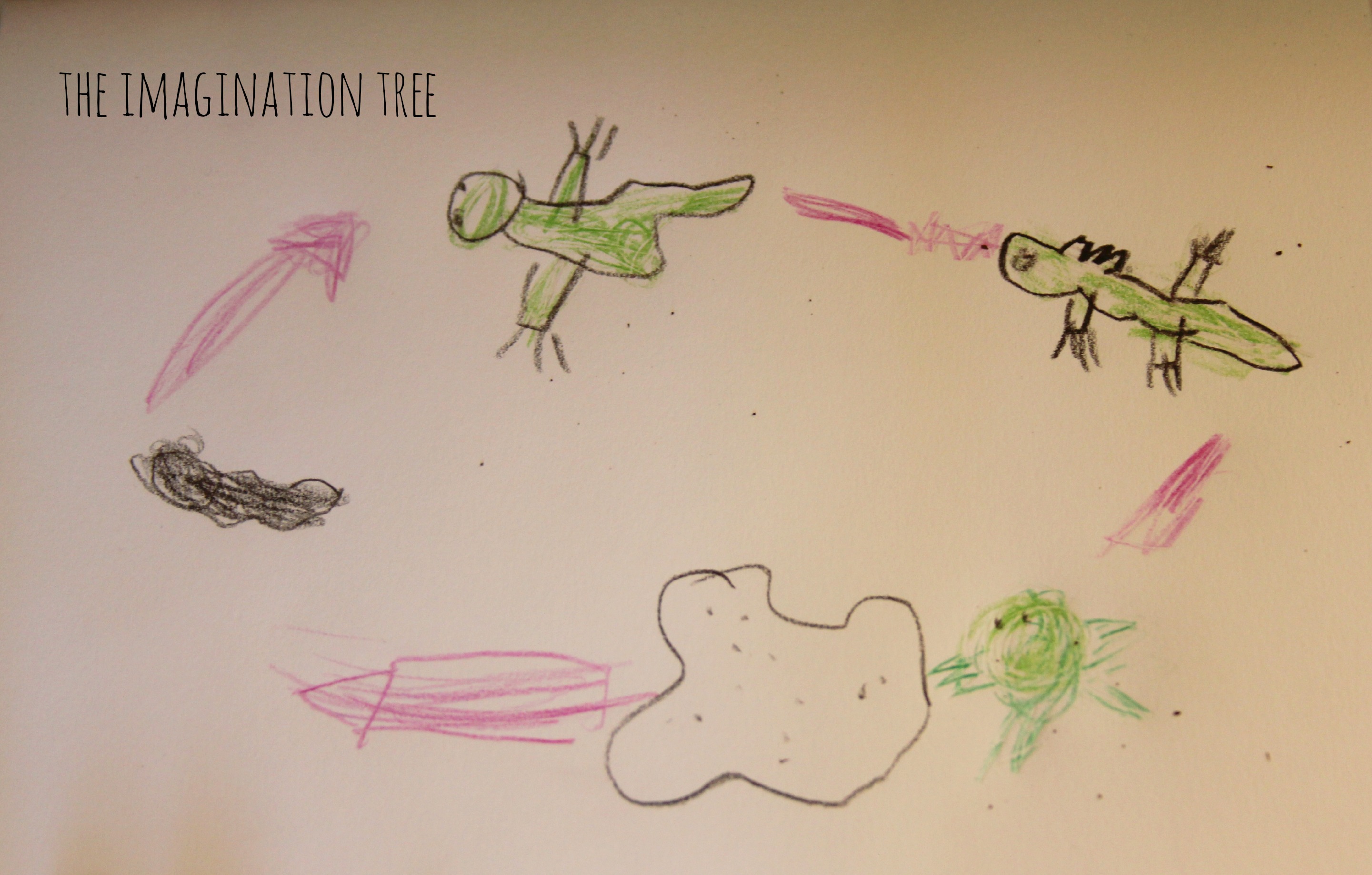 2881x1837 Tadpole And Frog Investigation Area - Life Cycle Of A Frog Drawing