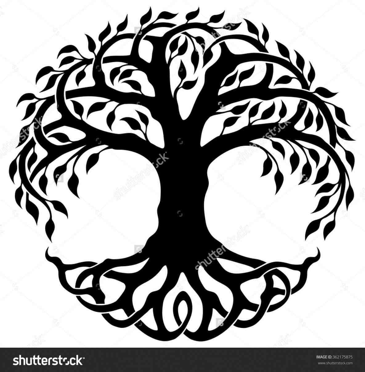 1185x1207 celtic tree of life drawing trends celtic tree of life, celtic - Life Drawing Meaning