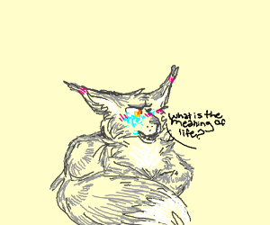 300x250 Sad Wolf Asking What Is The Meaning Of Life Drawing - Life Drawing Meaning