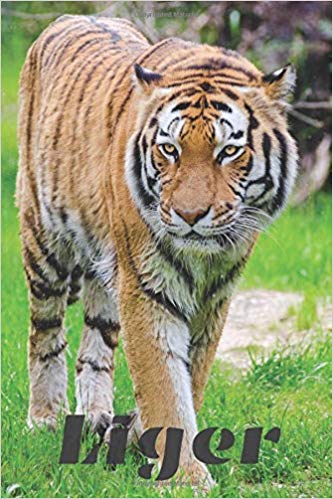 333x499 liger animal notebook for kids and adults, journal, notes, diary - Liger Drawing