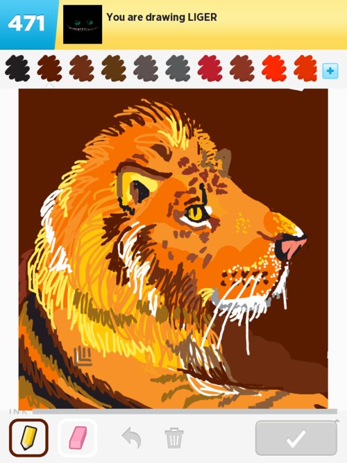 500x667 liger drawings - Liger Drawing