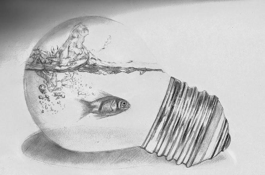 885x584 Swimming In The Light Bulb Drawing - Light Bulb Drawing