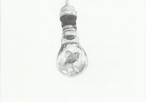 300x210 Fish Drawing In Light Bulb Pencil Drawing Drawing - Light Bulb Pencil Drawing