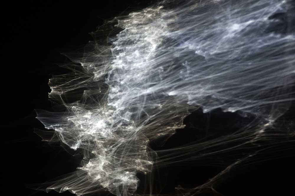 1000x665 Light Drawing - Light Drawing