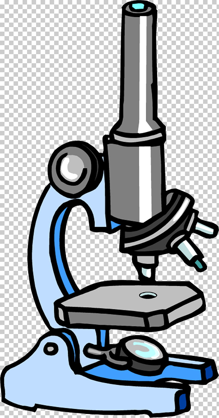 728x1389 light optical microscope drawing phase contrast microscopy, light - Light Microscope Drawing