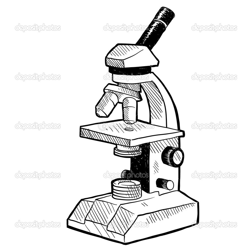 1024x1024 Microscope Drawing - Light Microscope Drawing