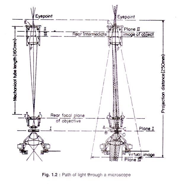 624x619 Microscopes, Drawing Appliances And Measurement - Light Microscope Drawing